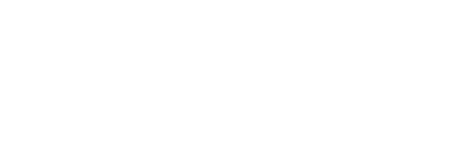 2020 Financial Logo